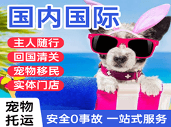 昭苏天马机场物流国际宠物托运 【国